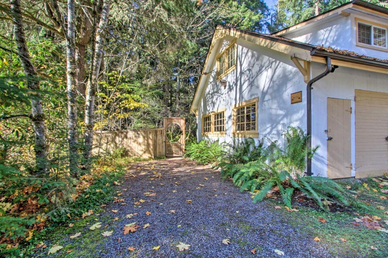 Owls Nest Studio With Hot Tub Hike Nearby! Ashford Eksteriør billede