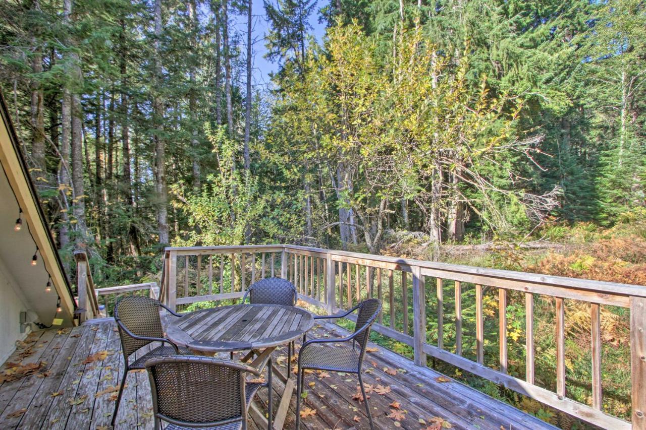 Owls Nest Studio With Hot Tub Hike Nearby! Ashford Eksteriør billede
